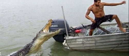 Homem é devorado por crocodilos