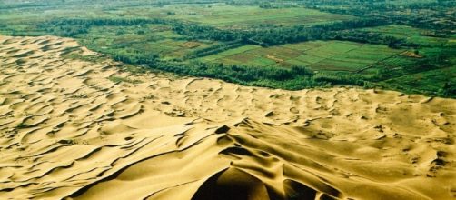 Una grande muraglia verde nel deserto come una nuova terra promessa: è il progetto di un ingegnere degli Emirati Arabi.