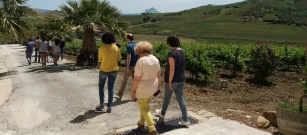 Tour alle Cantine Alessandro di Camporeale. Tour alle Cantine Alessandro di Camporeale.