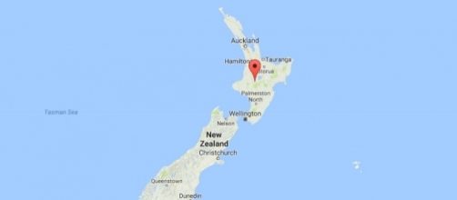 Britons hurt in bus crash in New Zealand's Tongariro Forest Park - ibtimes.co.uk