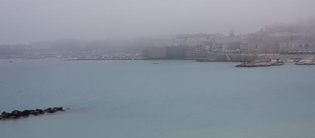 La "lupa di mare" presente a Otranto La "lupa di mare" presente a Otranto