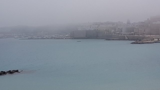 La "lupa di mare" presente a Otranto