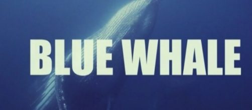 Blue Whale, il servizio de Le Iene che ha sconvolto il pubblico
