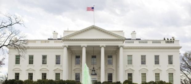 Democracy Americana and its Waxy Bowels | Intervention - intervention.ng Democracy Americana and its Waxy Bowels | Intervention - intervention.ng