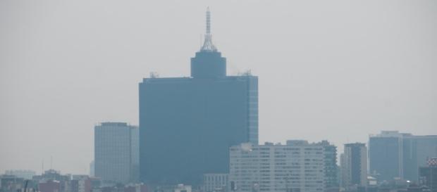 Por qué Vía Verde no es una buena propuesta - Animal Político - animalpolitico.com Por qué Vía Verde no es una buena propuesta - Animal Político - animalpolitico.com