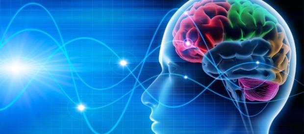 You are a product of classical conditioning. - psypost.org You are a product of classical conditioning. - psypost.org