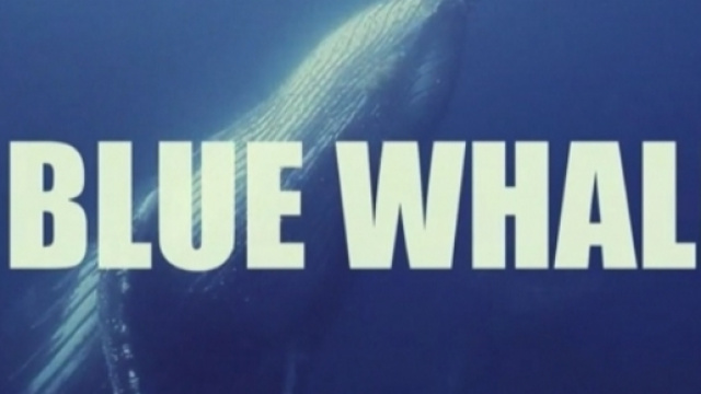 Blue Whale, il servizio de Le Iene che ha sconvolto il pubblico