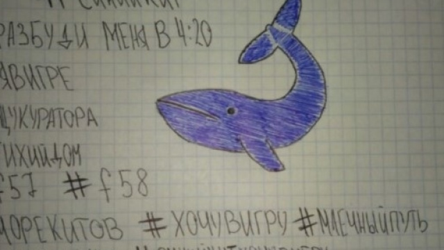 Le assurde regole di Blue Whale, il macabro 'gioco' che ha come obiettivo il suicidio dei partecipanti