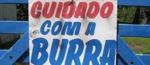 Veja os erros de português mais hilários comentados na web