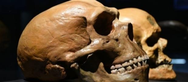 Early Human DNA Found In Soil: Scientists Find New Way To ... - inquisitr.com Early Human DNA Found In Soil: Scientists Find New Way To ... - inquisitr.com