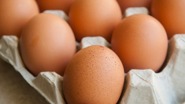 Les protéines : un allié contre la graisse - readersdigest.ca