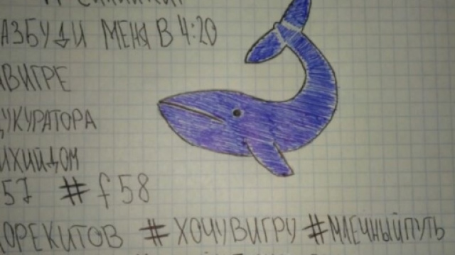 Blue Whale: il 'gioco' suicida