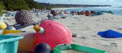 Pacific island the most plastic-polluted place on Earth | Cosmos - cosmosmagazine.com
