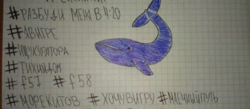 Blu Whale, 13enne salvata in extremis