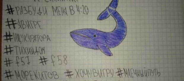 Blu Whale, 13enne salvata in extremis Blu Whale, 13enne salvata in extremis