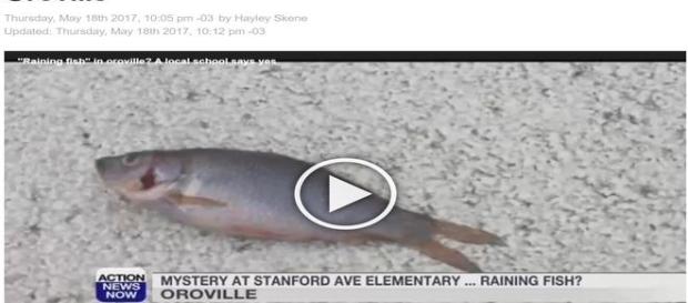 Peixes surgiram de repente em escola primária da Califórnia (Action News Now) Peixes surgiram de repente em escola primária da Califórnia (Action News Now)