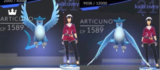 'Pokemon GO': a new ultra-rare Legendary Pokemon discovered - pixabay.com 'Pokemon GO': a new ultra-rare Legendary Pokemon discovered - pixabay.com