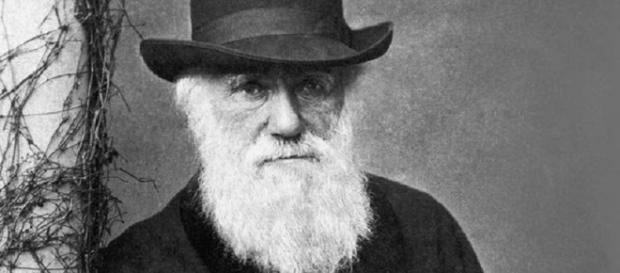 Charles Darwin: el naturista que revolucionó la biología - laizquierdadiario.com Charles Darwin: el naturista que revolucionó la biología - laizquierdadiario.com