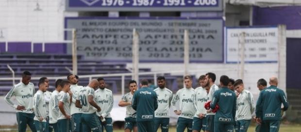 Palmeiras pode ter baixa no elenco Palmeiras pode ter baixa no elenco