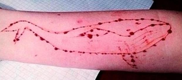 Parents Warned about new suicide game 'The Blue Whale Game - policehour.co.uk Parents Warned about new suicide game 'The Blue Whale Game - policehour.co.uk
