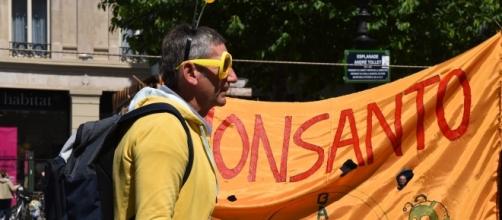 Marche Mondiale contre Monsantos/Bayer