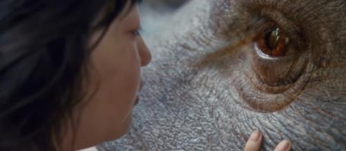 Will Mija protect Okja from the corporations? / Photo via Movie reviews, news, trailers, and short films that don't suck ... - flixist.com