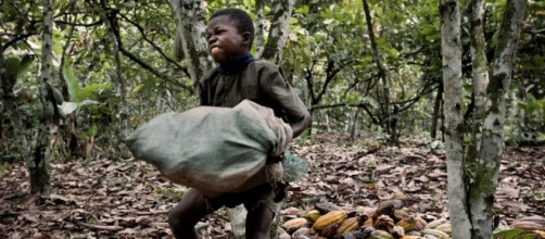 L'exploitation des enfants, victimes d'un marché juteux