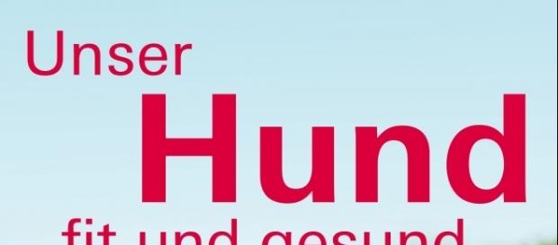 Buch mit Tipps für Hundehalter Buch mit Tipps für Hundehalter
