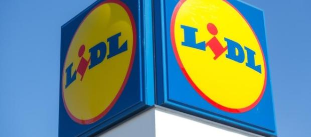 Lidl assume numerose figure professionali da Nord a Sud Italia Lidl assume numerose figure professionali da Nord a Sud Italia