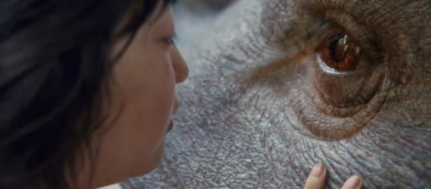Will Mija protect Okja from the corporations? / Photo via Movie reviews, news, trailers, and short films that don't suck ... - flixist.com Will Mija protect Okja from the corporations? / Photo via Movie reviews, news, trailers, and short films that don't suck ... - flixist.com