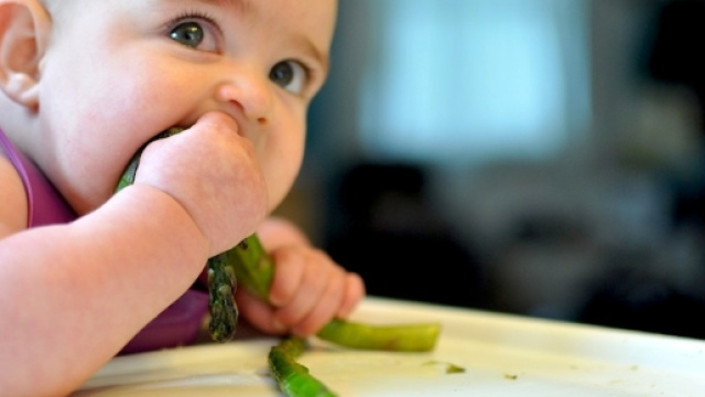 Bimbo di sette mesi morto per dieta senza glutine: condannati i genitori