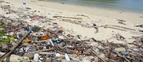 La spiaggia piena di detriti disseminati