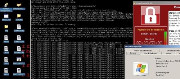 WannaCry Decription Tool WanaKiwi Works on Windows XP, 2003, Vista ... - softpedia.com WannaCry Decription Tool WanaKiwi Works on Windows XP, 2003, Vista ... - softpedia.com
