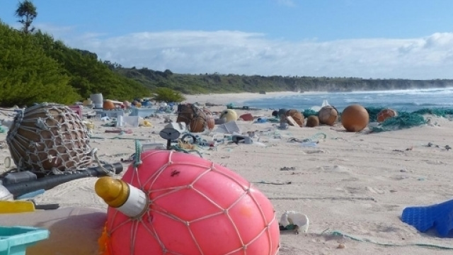 Henderson, l'isola diventata discarica