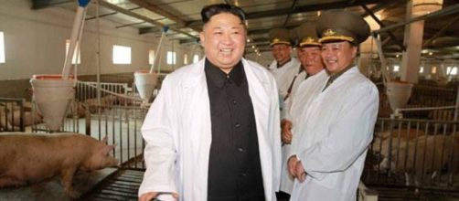 Corea del Nord, il regime di Kim Jong-un: dai lanci di missili ... - corriere.it