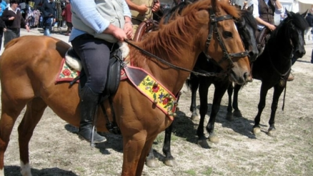 Olindo Pinciaroli, il veterinario marchigiano ucciso ieri a bordo della sua ambulanza veterinaria. Unico indiziato &egrave; un collaboratore ora in carcere.