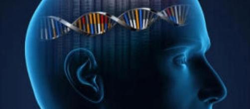 Scientists identify genes linked to human intelligence - EpilepsyU - epilepsyu.com