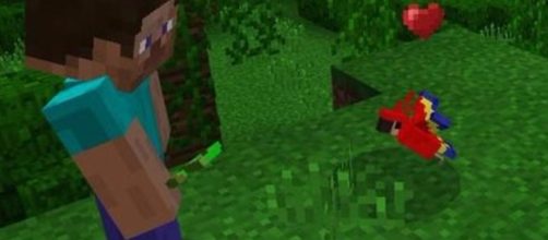 Minecraft will patch parrots to protect real-life pets • Eurogamer.net - eurogamer.net