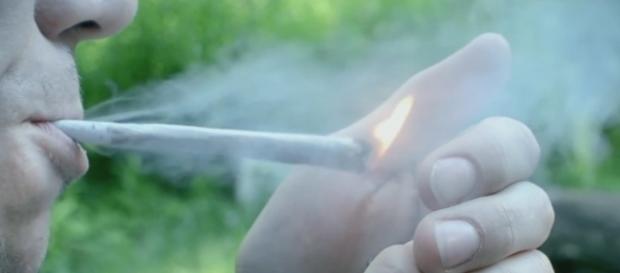 Cannabis-Legalisierung: Ja oder Nein? - dbate.de Cannabis-Legalisierung: Ja oder Nein? - dbate.de