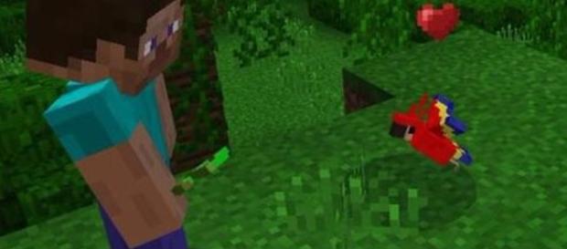 Minecraft will patch parrots to protect real-life pets • Eurogamer.net - eurogamer.net Minecraft will patch parrots to protect real-life pets • Eurogamer.net - eurogamer.net