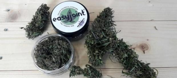 EasyJoint, la prima cannabis legale e acquistabile facilmente EasyJoint, la prima cannabis legale e acquistabile facilmente