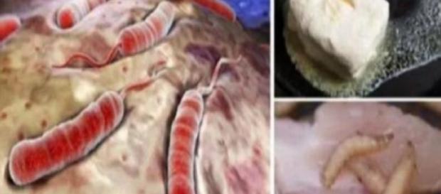 Médicos aconselham parar de comer esses alimentos (Foto: Google) Médicos aconselham parar de comer esses alimentos (Foto: Google)