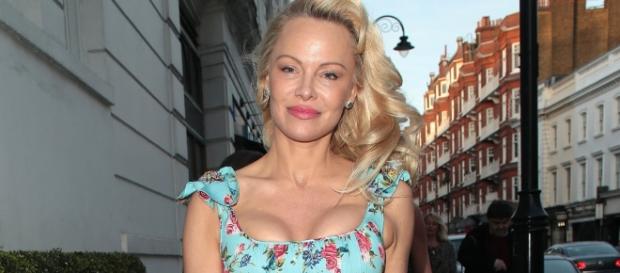 Pamela Anderson strips down in sexy lingerie shoot -- see the hot ... - aol.com Pamela Anderson strips down in sexy lingerie shoot -- see the hot ... - aol.com