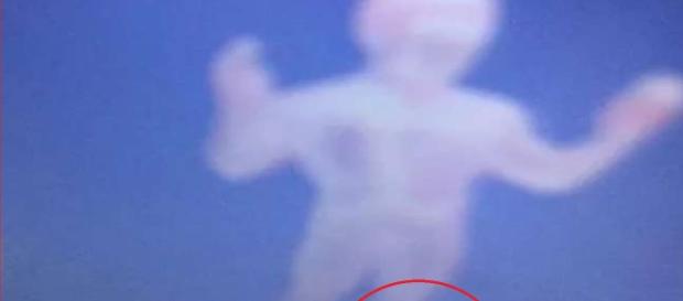 Uma suposta imagem de um anjo tem assombrado a internet nos últimos dias Uma suposta imagem de um anjo tem assombrado a internet nos últimos dias