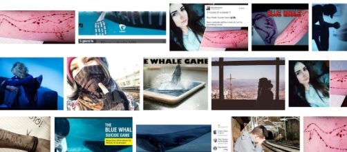 suicidi e pericoli del gioco Blue Whale