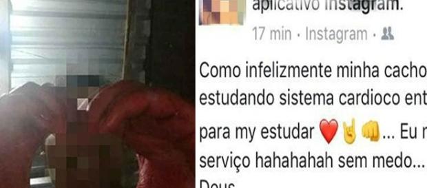 Estudante faz símbolo do coração segurando órgão do animal morto Estudante faz símbolo do coração segurando órgão do animal morto