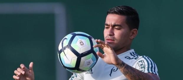 Palmeiras busca vitória em sua Arena, após perder três fora Palmeiras busca vitória em sua Arena, após perder três fora
