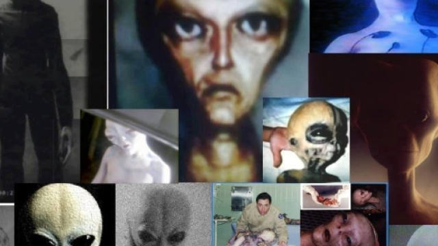 Sconvolgenti Rivelazioni di un Funzionario dell' Unione Europea ... - centroitalianoricerche.com