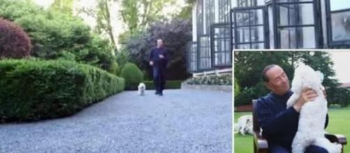 Silvio Berlusconi corre con i cani