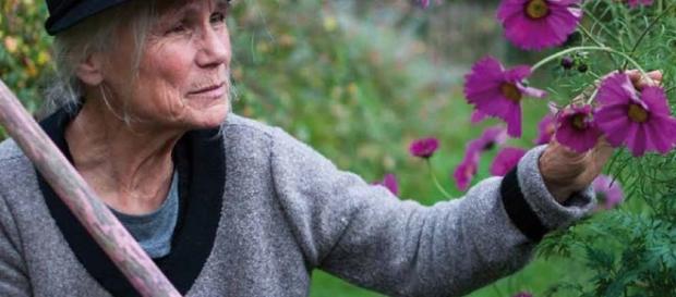 La contemplation de la nature, et de la beauté des fleurs La contemplation de la nature, et de la beauté des fleurs